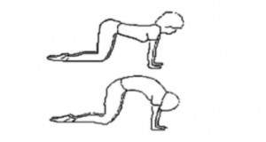 How to exercise during pregnancy: pelvis mobility exercise, back stretch How to exercise during pregnancy: pelvis mobility exercise, back stretch
