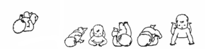 Baby learns to roll, on the side, on his belly, to return on his back and can move around or lift himself (crawling position)