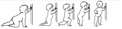 Baby learns to stand with furnitures
