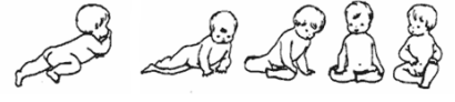 Steps for baby to pass from his belly to sitting